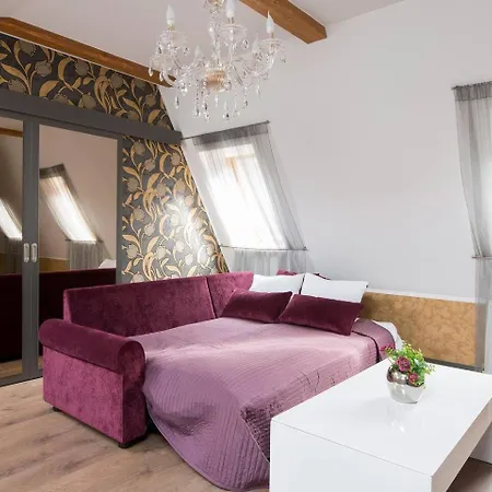 Luxurious Old Apartment