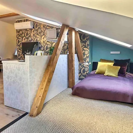 Luxurious Old Apartment