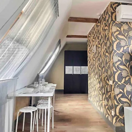 Luxurious Old Appartement Riga