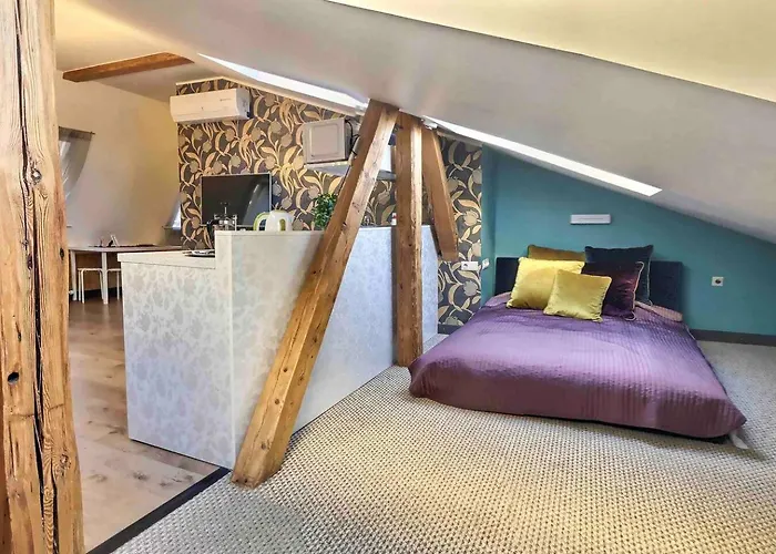 Luxurious Old Dzīvoklis